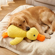 Anti-Stress Duck – Against Separation Anxiety & Loneliness – Duck Dog Toy
