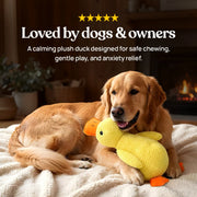 Anti-Stress Duck – Against Separation Anxiety & Loneliness – Duck Dog Toy