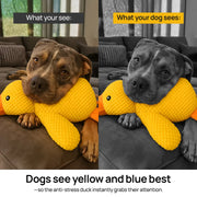 Anti-Stress Duck – Against Separation Anxiety & Loneliness – Duck Dog Toy