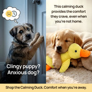 Anti-Stress Duck – Against Separation Anxiety & Loneliness – Duck Dog Toy