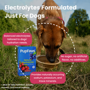 PupFaws Berry Boost - Natural Dog Electrolytes for Hydration & Recovery