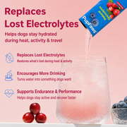 PupFaws Berry Boost - Natural Dog Electrolytes for Hydration & Recovery