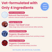 PupFaws Berry Boost - Natural Dog Electrolytes for Hydration & Recovery