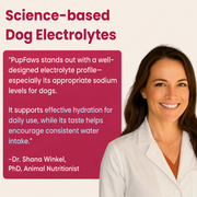PupFaws Berry Boost - Natural Dog Electrolytes for Hydration & Recovery