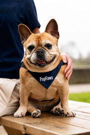 PupFaws Dog Bandana – 100% Cotton Slip-Over-Collar