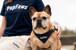 PupFaws Dog Bandana – 100% Cotton Slip-Over-Collar