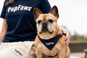 PupFaws Dog Bandana – 100% Cotton Slip-Over-Collar
