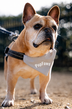 PupFaws Dog Bandana – 100% Cotton Slip-Over-Collar